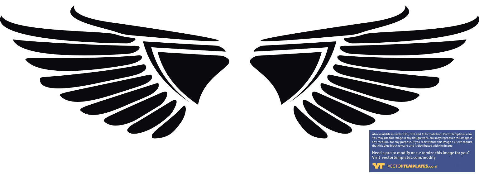 Eagle Wings Design