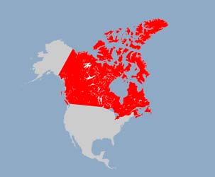 Canada Map (Detailed map)