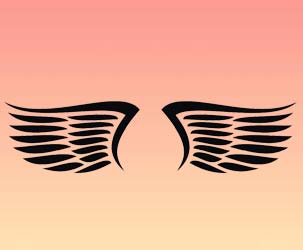 Eagle Wings Design 2