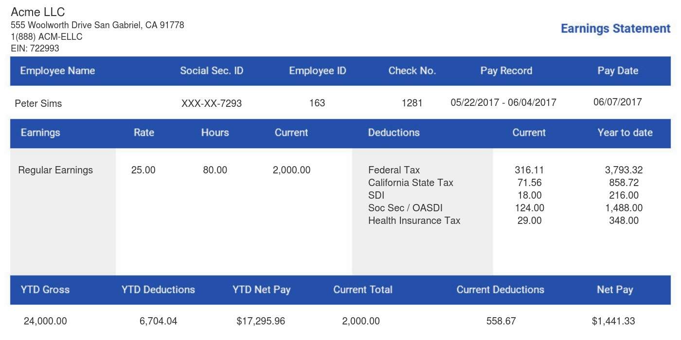 40+ Effective and Printable Pay Stub Templates for Employees