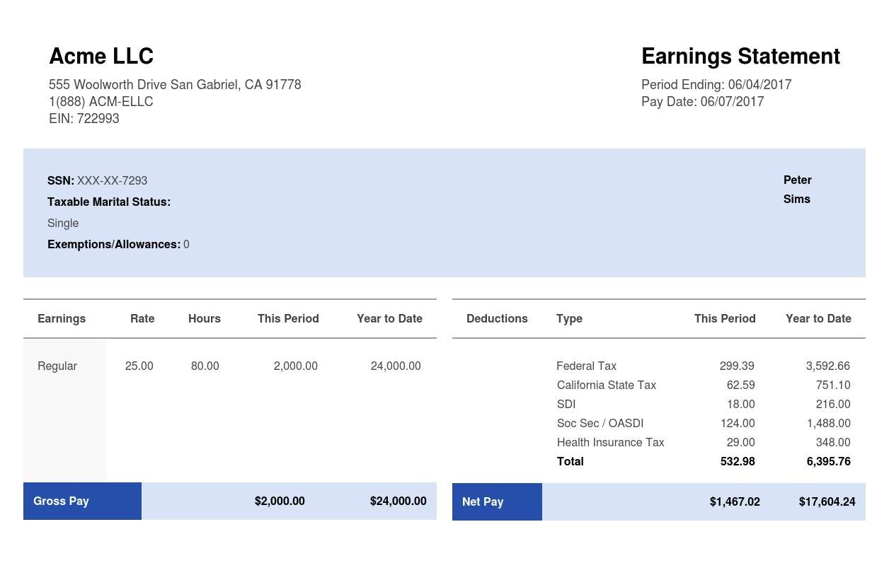 40+ Effective and Printable Pay Stub Templates for Employees