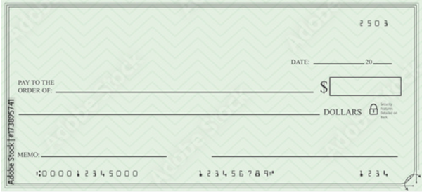 Blank Check Templates in Various Formats (Word, PDF, Excel)