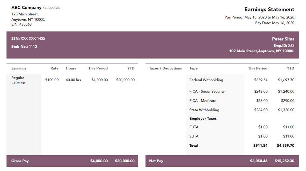 40+ Effective and Printable Pay Stub Templates for Employees