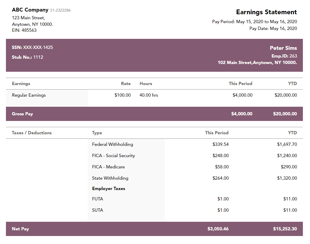 40+ Effective and Printable Pay Stub Templates for Employees