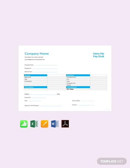 40+ Effective and Printable Pay Stub Templates for Employees