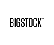 BigstockPhoto Coupon Code